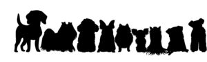 Dog breeds